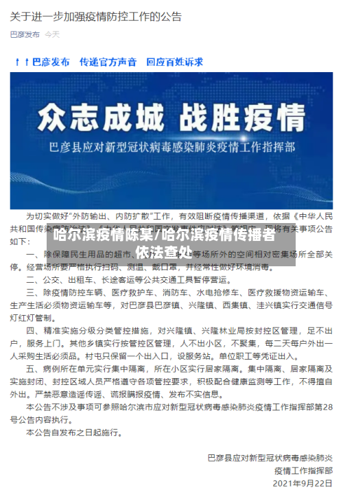 哈尔滨疫情陈某/哈尔滨疫情传播者依法查处-第1张图片