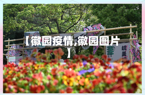 【徽园疫情,徽园图片】-第1张图片