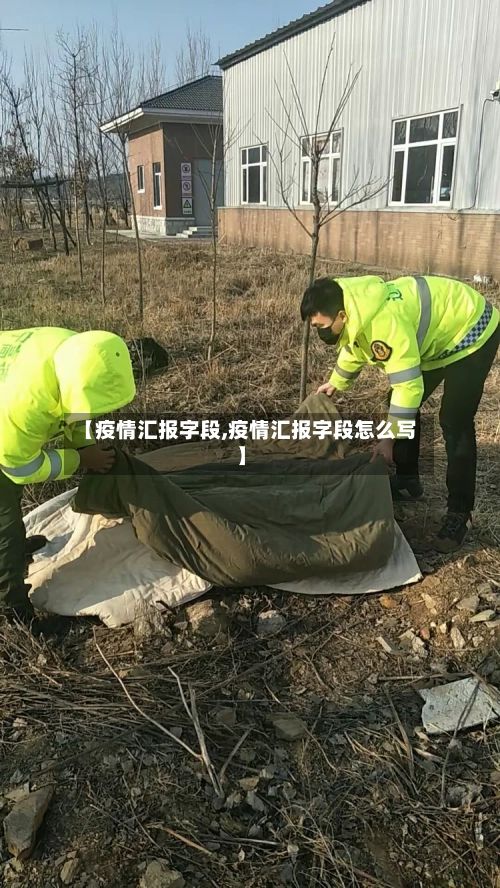 【疫情汇报字段,疫情汇报字段怎么写】-第1张图片