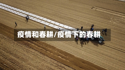 疫情和春耕/疫情下的春耕-第1张图片