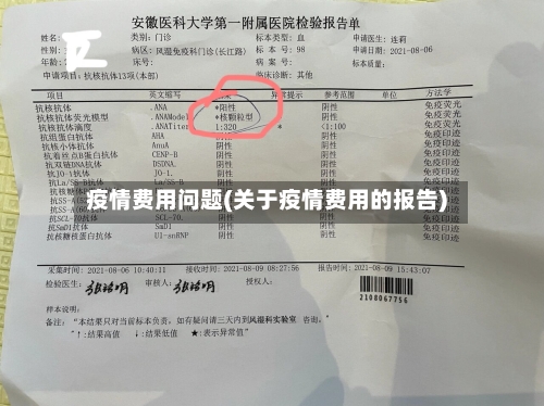 疫情费用问题(关于疫情费用的报告)-第1张图片