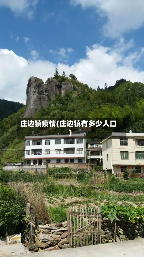 庄边镇疫情(庄边镇有多少人口)-第3张图片