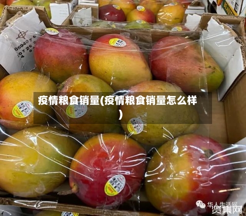 疫情粮食销量(疫情粮食销量怎么样)-第2张图片