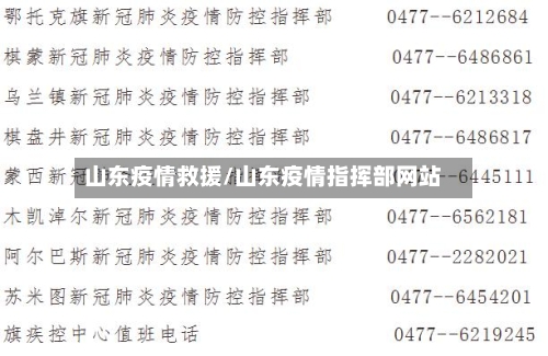 山东疫情救援/山东疫情指挥部网站-第1张图片