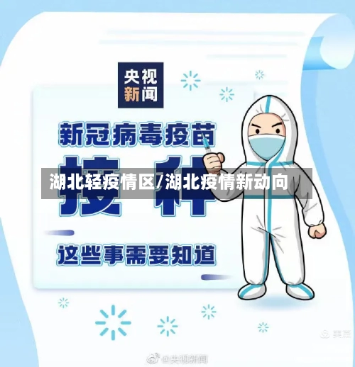 湖北轻疫情区/湖北疫情新动向-第3张图片
