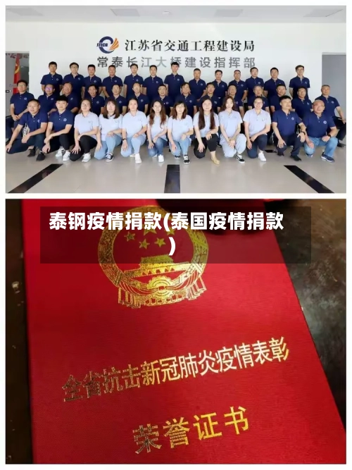 泰钢疫情捐款(泰国疫情捐款)-第3张图片