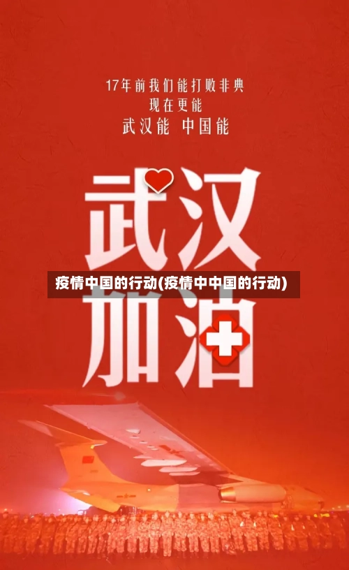 疫情中国的行动(疫情中中国的行动)-第1张图片
