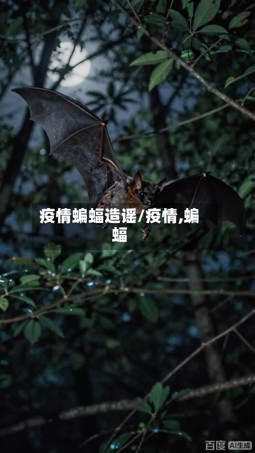 疫情蝙蝠造谣/疫情,蝙蝠-第1张图片