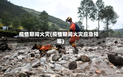 疫情期间火灾(疫情期间火灾应急预案)-第1张图片