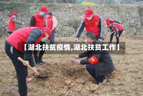 【湖北扶贫疫情,湖北扶贫工作】-第1张图片