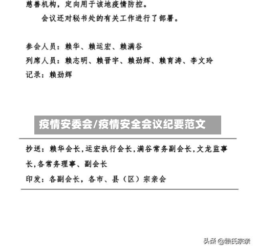 疫情安委会/疫情安全会议纪要范文-第3张图片