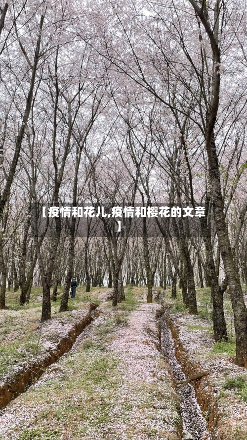【疫情和花儿,疫情和樱花的文章】-第2张图片