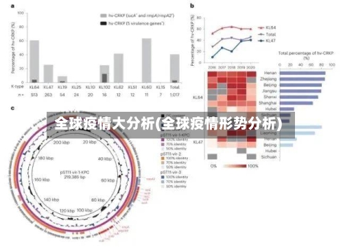 全球疫情大分析(全球疫情形势分析)-第3张图片