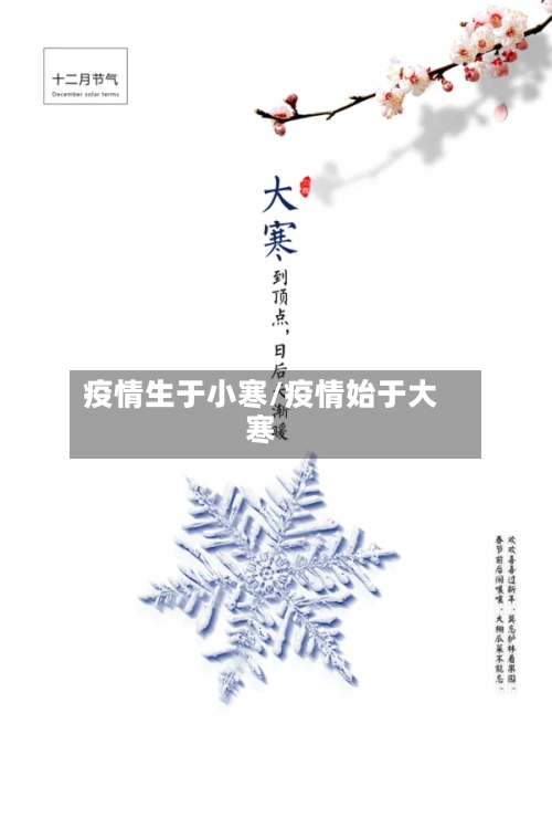 疫情生于小寒/疫情始于大寒-第1张图片