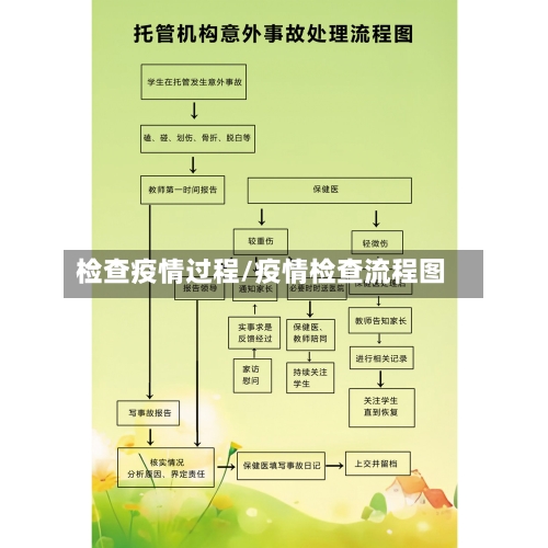 检查疫情过程/疫情检查流程图-第2张图片