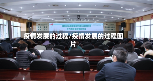 疫情发展的过程/疫情发展的过程图片-第1张图片