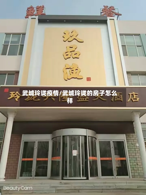 武城玲珑疫情/武城玲珑的房子怎么样-第1张图片