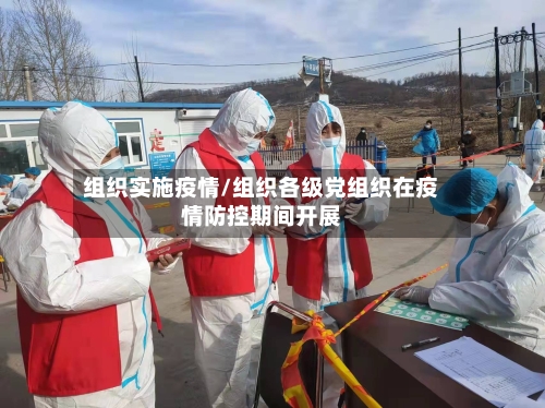 组织实施疫情/组织各级党组织在疫情防控期间开展-第1张图片