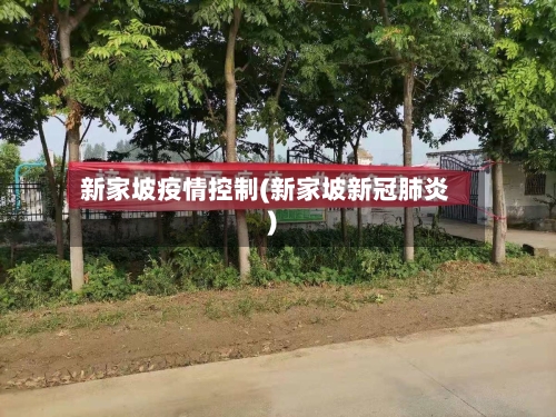 新家坡疫情控制(新家坡新冠肺炎)-第2张图片