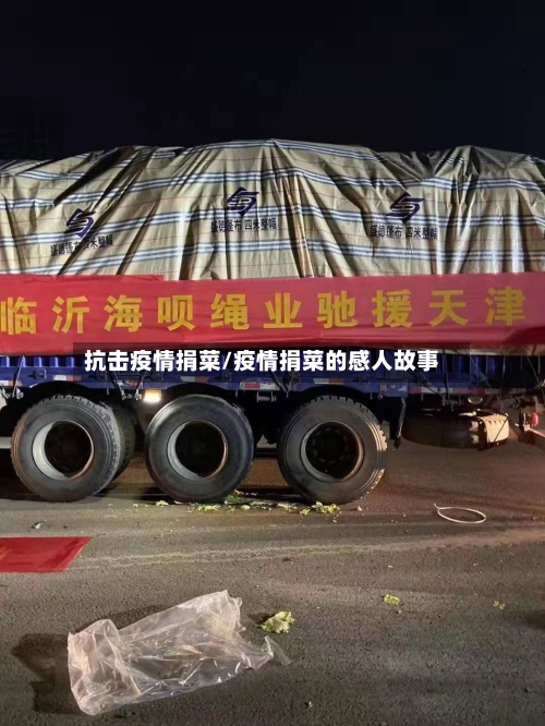 抗击疫情捐菜/疫情捐菜的感人故事-第1张图片