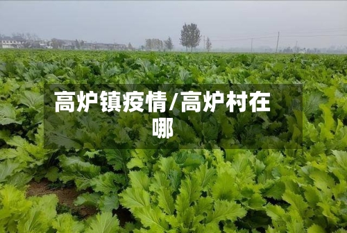 高炉镇疫情/高炉村在哪-第2张图片