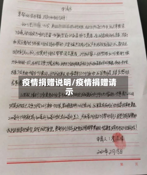 疫情捐赠说明/疫情捐赠请示-第2张图片