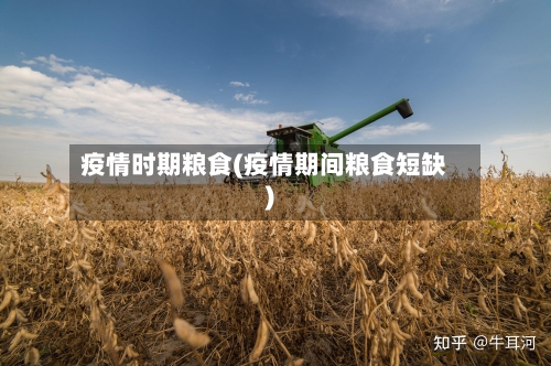 疫情时期粮食(疫情期间粮食短缺)-第1张图片