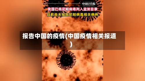 报告中国的疫情(中国疫情相关报道)-第1张图片
