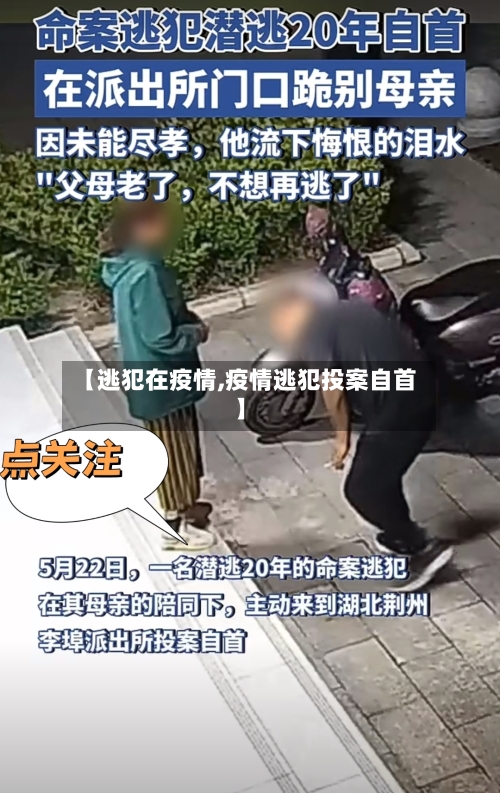 【逃犯在疫情,疫情逃犯投案自首】-第1张图片