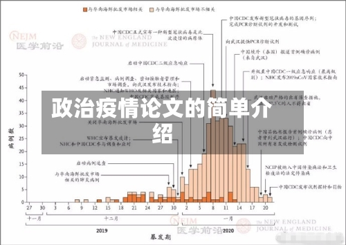 政治疫情论文的简单介绍-第2张图片